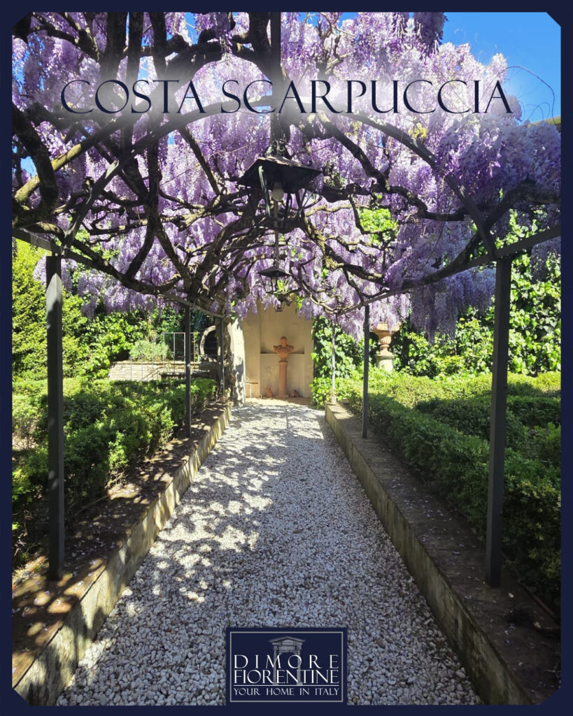 The magic of wisteria bloom in Florence - Dimore Fiorentine